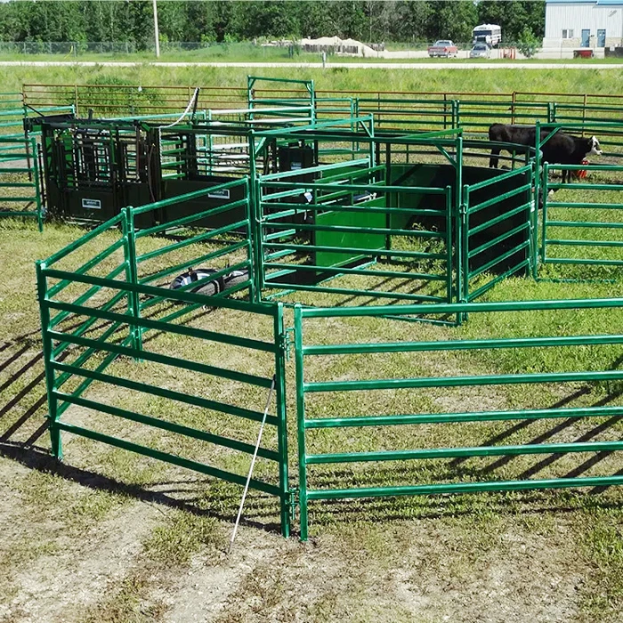 Tauler de tanca de cavalls de bestiar